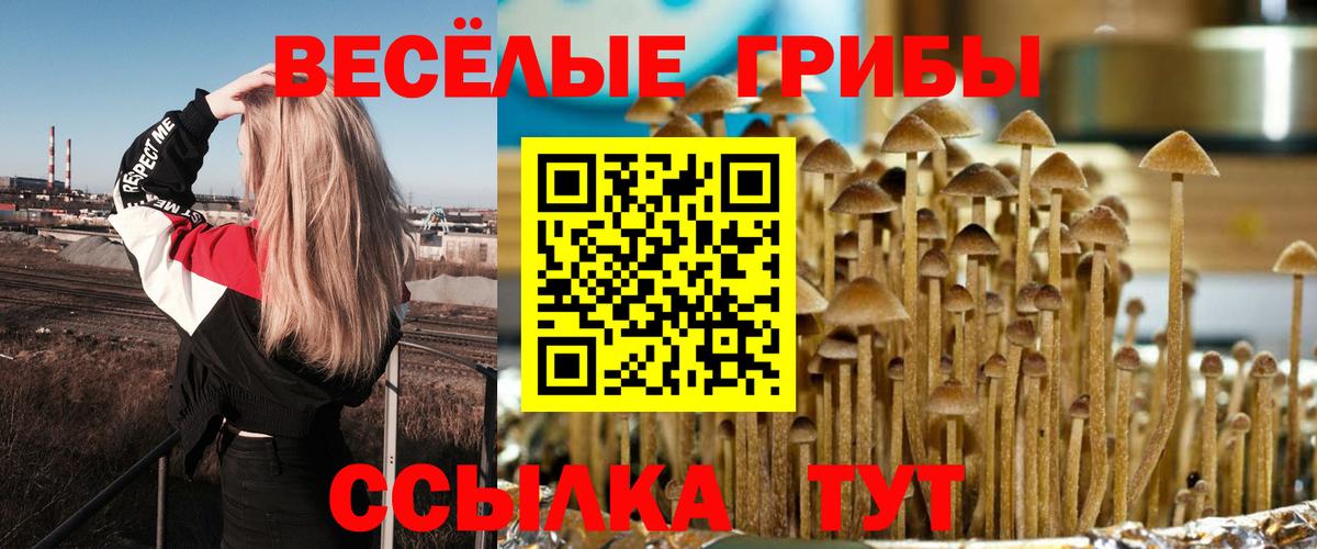 Кунгур  Псилоцибиновые грибы мицелий  Вход с VPN 