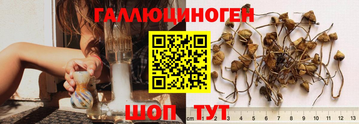 Галлюциногенные грибы мухоморы Кунгур